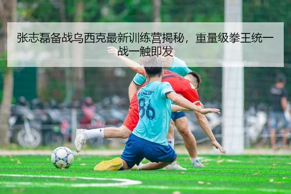 张志磊备战乌西克最新训练营揭秘，重量级拳王统一战一触即发